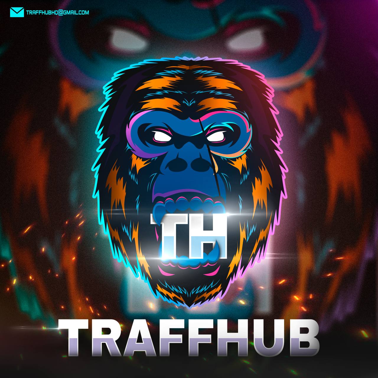 TraffHub